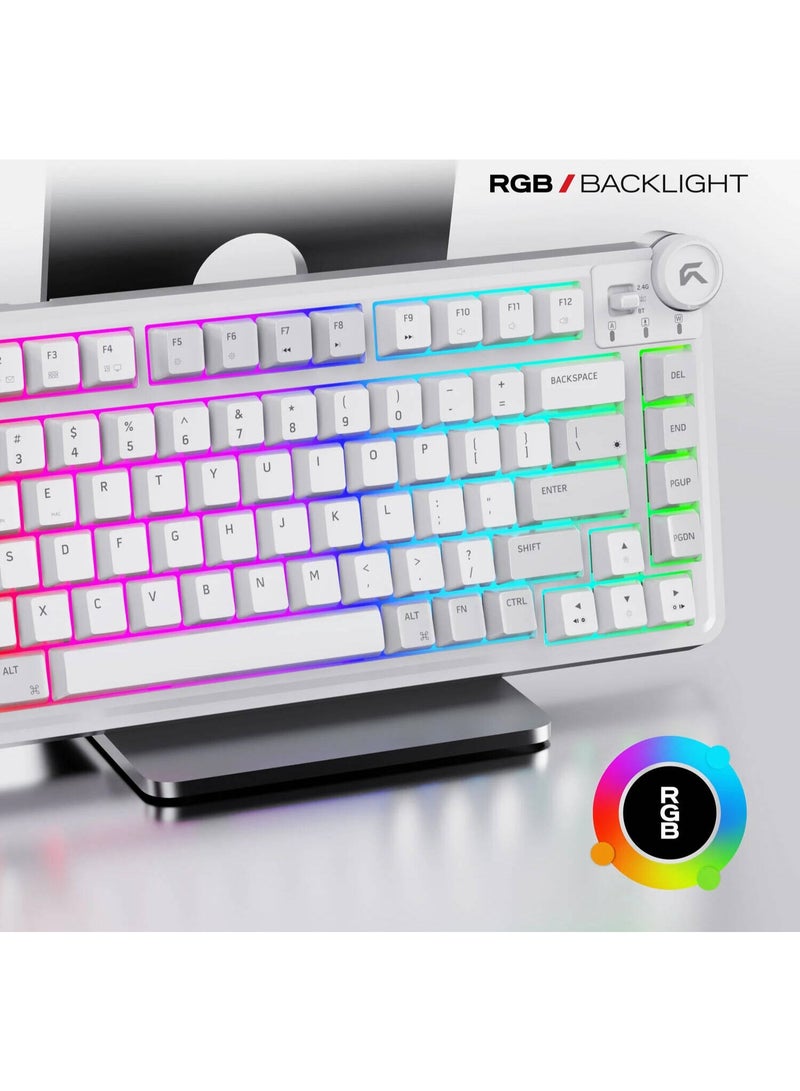 سايبيرت لوحة مفاتيح الألعاب اللاسلكية ثلاثية الأوضاع Cybeart Nighthawk 75 | TKL - أبيض - Image 3